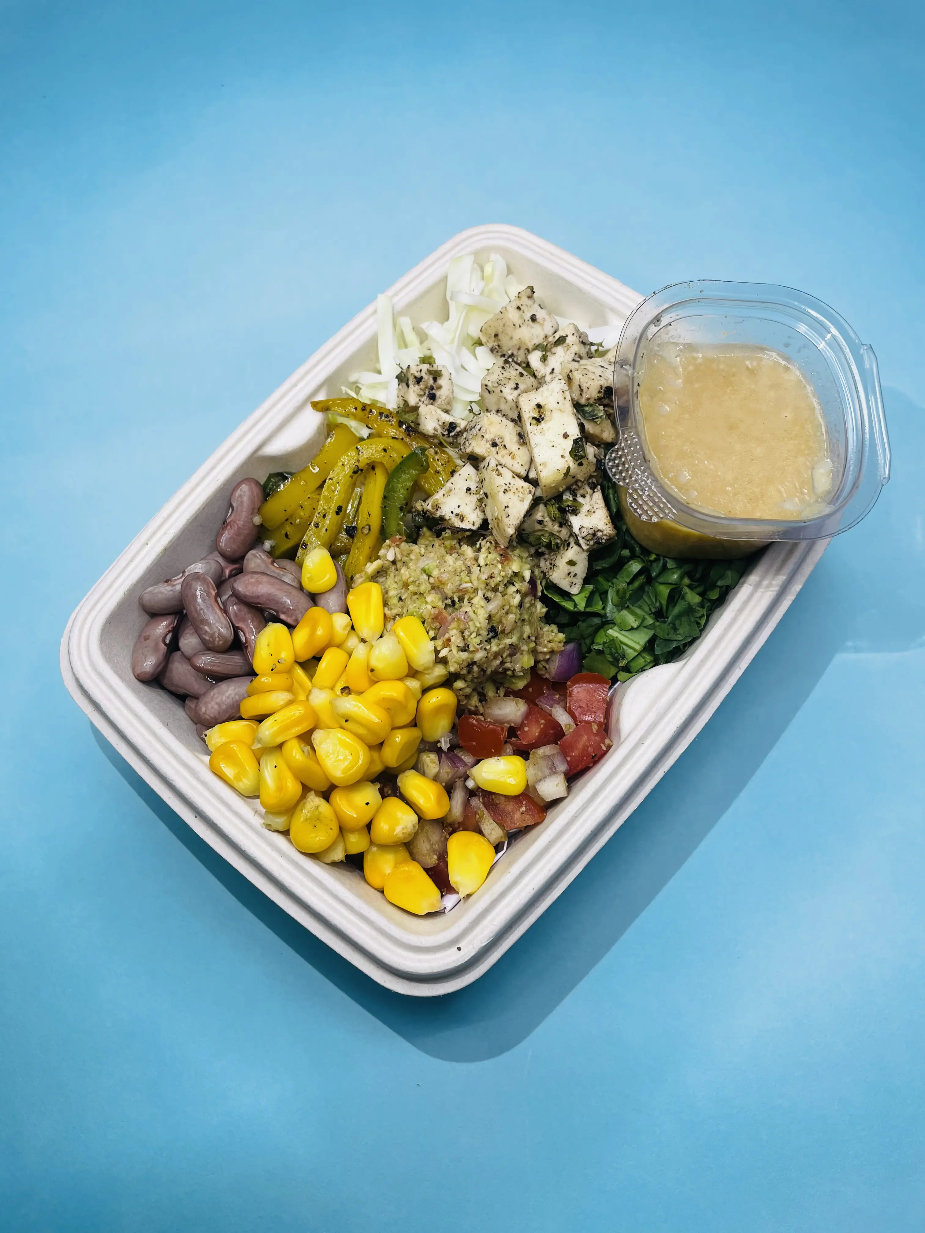 SMOKY PANEER BOWL